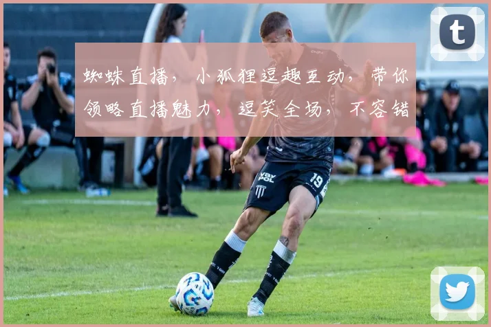 蜘蛛直播，小狐狸逗趣互动，带你领略直播魅力，逗笑全场，不容错过