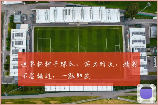 世界杯种子球队，实力对决，精彩不容错过，一触即发