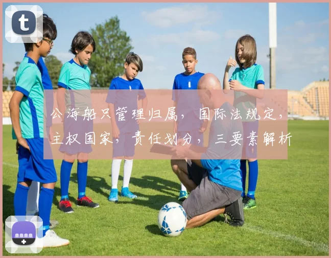 公海船只管理归属，国际法规定，主权国家，责任划分，三要素解析