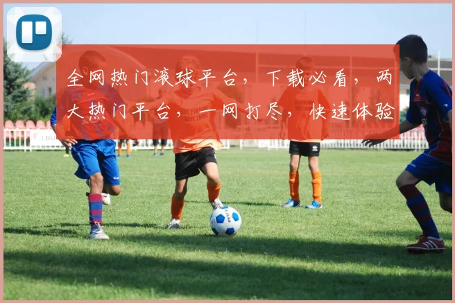 全网热门滚球平台，下载必看，两大热门平台，一网打尽，快速体验